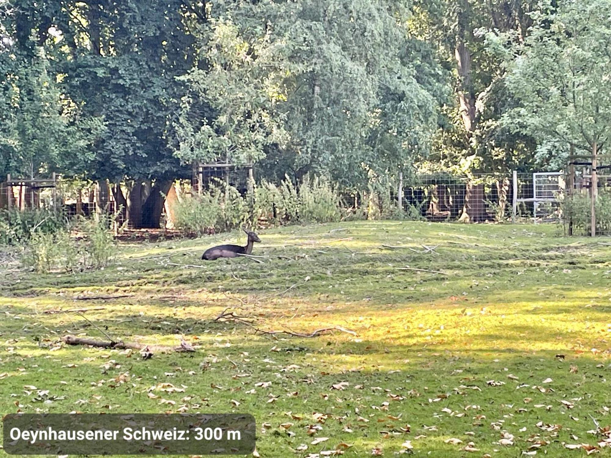 Kvartier2 In Top-Lage, 5 Min Zur Bali-Therme Und Gop, Hdz, Arbeitsplatz, Boxspringbett Bad Oeynhausen Exteriör bild